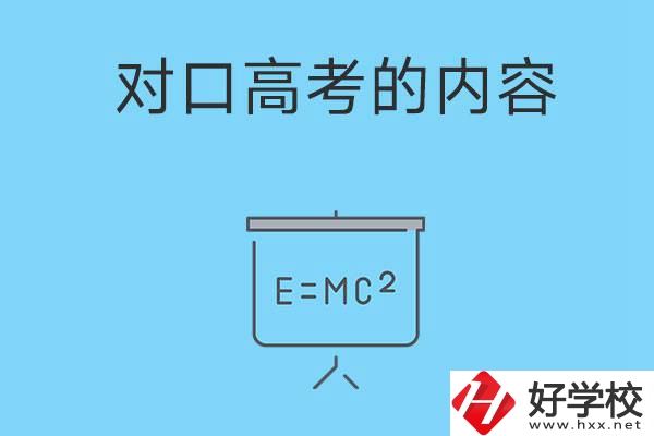 湖南職高對(duì)口高考主要考什么內(nèi)容？難度大不大？