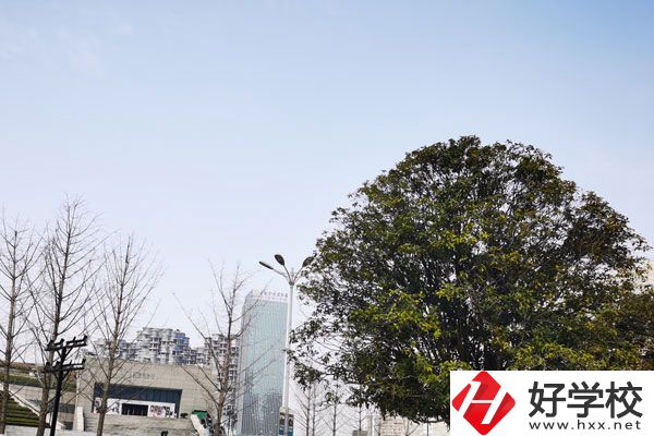 益陽科技工程學(xué)校有哪些專業(yè)？就業(yè)如何？