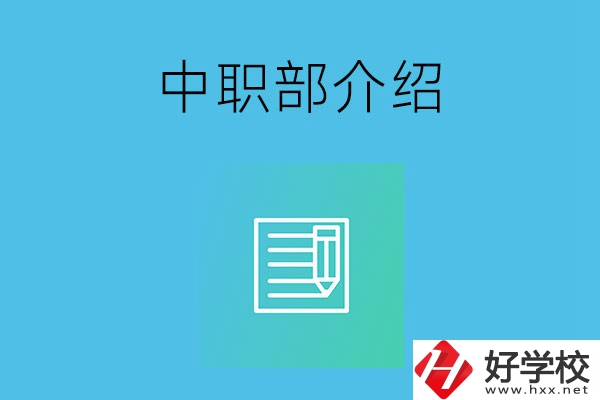 湘潭院校中職部介紹，這幾所學(xué)校你知道嗎？