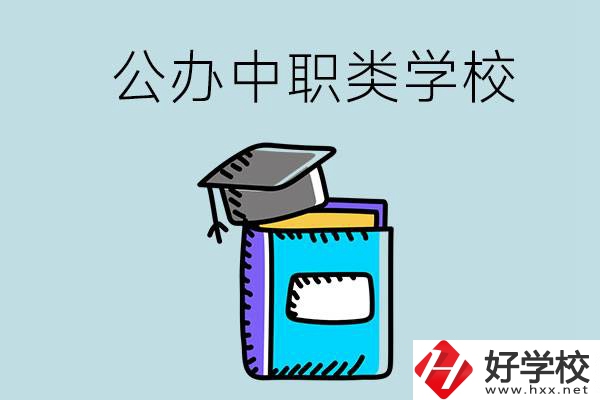 湘西的公辦中職類學(xué)校一共有多少所？