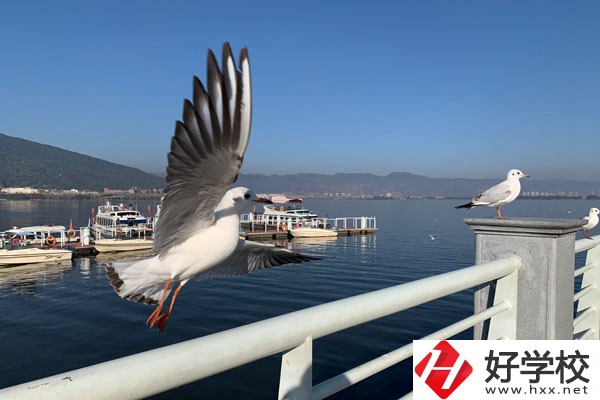 準(zhǔn)備讀中專，衡陽縣職業(yè)中專好不好？