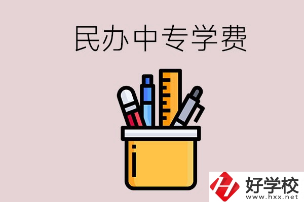 湘潭的民辦中專學校學費多少錢一年？