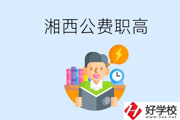 湘西公費(fèi)的職高學(xué)校有幾所？還有其它什么費(fèi)用？