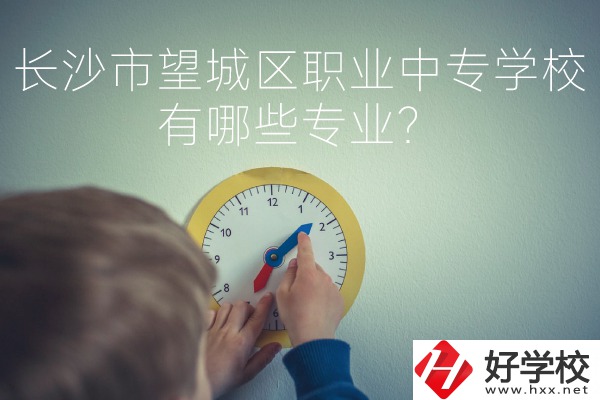 長(zhǎng)沙市望城區(qū)職業(yè)中等專業(yè)學(xué)校有哪些專業(yè)？