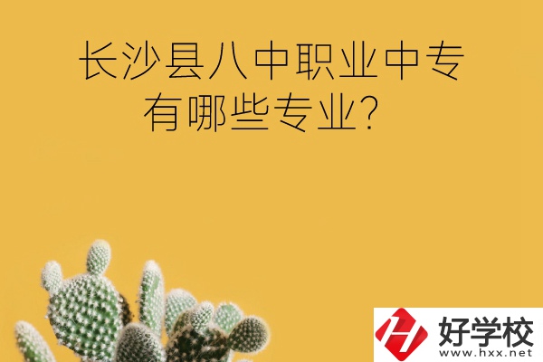 長沙縣八中職業(yè)中專好不好？有哪些專業(yè)？