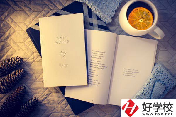 婁底技師學(xué)院有哪些專業(yè)？好就業(yè)嗎？