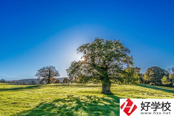 湘西旅游學(xué)校是一所怎樣的中專？
