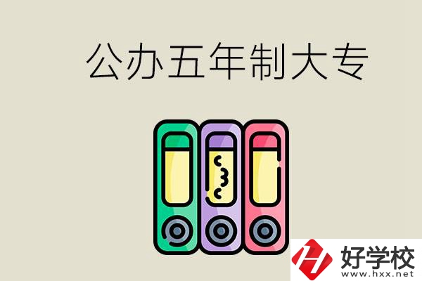 岳陽有什么公辦的五年制大專學校？讀了有用嗎？