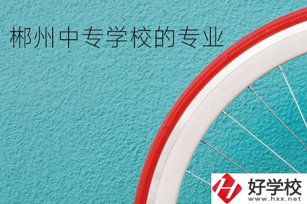 郴州中專學校有什么專業(yè)？