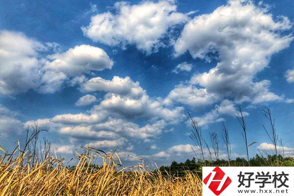 衡陽市瀟湘衛(wèi)生中等專業(yè)學(xué)校有哪些特色專業(yè)？