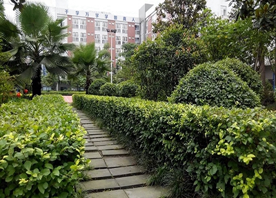 陜西化工工藝專業(yè)學校招生