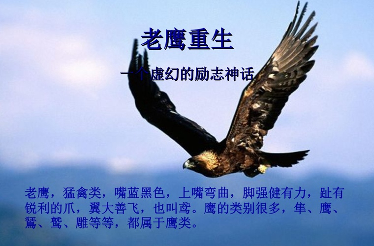 北京財務(wù)會計學(xué)校怎么樣