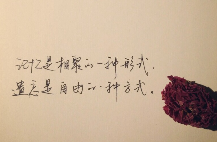 鞍山旅游學(xué)校怎么樣