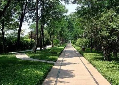 2025石家莊公辦藥劑學校有哪些 石家莊公辦藥劑學校名單一覽表