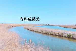 ?？瞥煽?jī)差