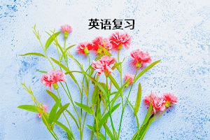 英語(yǔ)復(fù)習(xí)