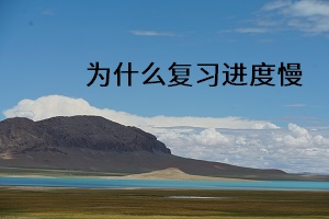 為什么復(fù)習進度慢