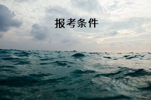 報考條件