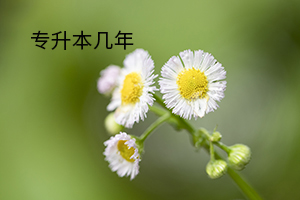 專(zhuān)升本幾年