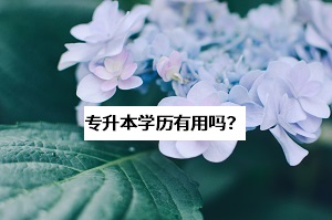 為什么那么多學長學姐勸你去考普通專升本？這些問題要想清楚