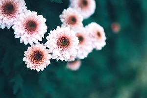 非全日制專升本的第一學歷是本科嗎？
