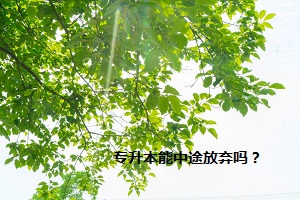 專升本能中途放棄嗎？