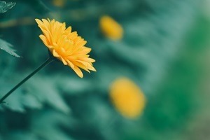 精做真題，查缺補漏