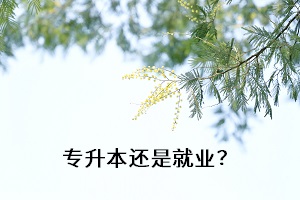 專升本還是就業(yè)？