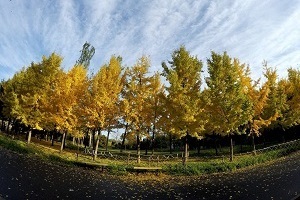 大專第三年才開始準(zhǔn)備普通專升本考試來得及嗎？該如何備考？