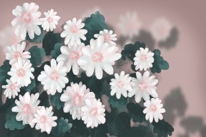 能否報考？