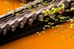 普通專升本備考的第一步是先擇校還是先選專業(yè)？