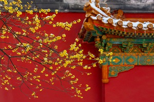 全日制普通專升本和本科有區(qū)別嗎？哪些地方是不同的？