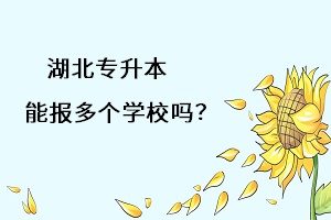 湖北專升本能報(bào)多個(gè)學(xué)習(xí)嗎？