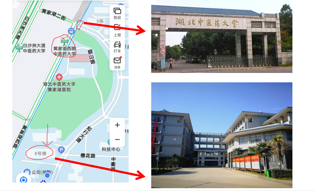 湖北中醫(yī)藥大學(xué)專升本從校門怎么走到8號(hào)樓？考場(chǎng)怎么找？
