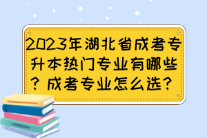 2023年湖北省成考專升本熱門專業(yè)有哪些？成考專業(yè)怎么選？